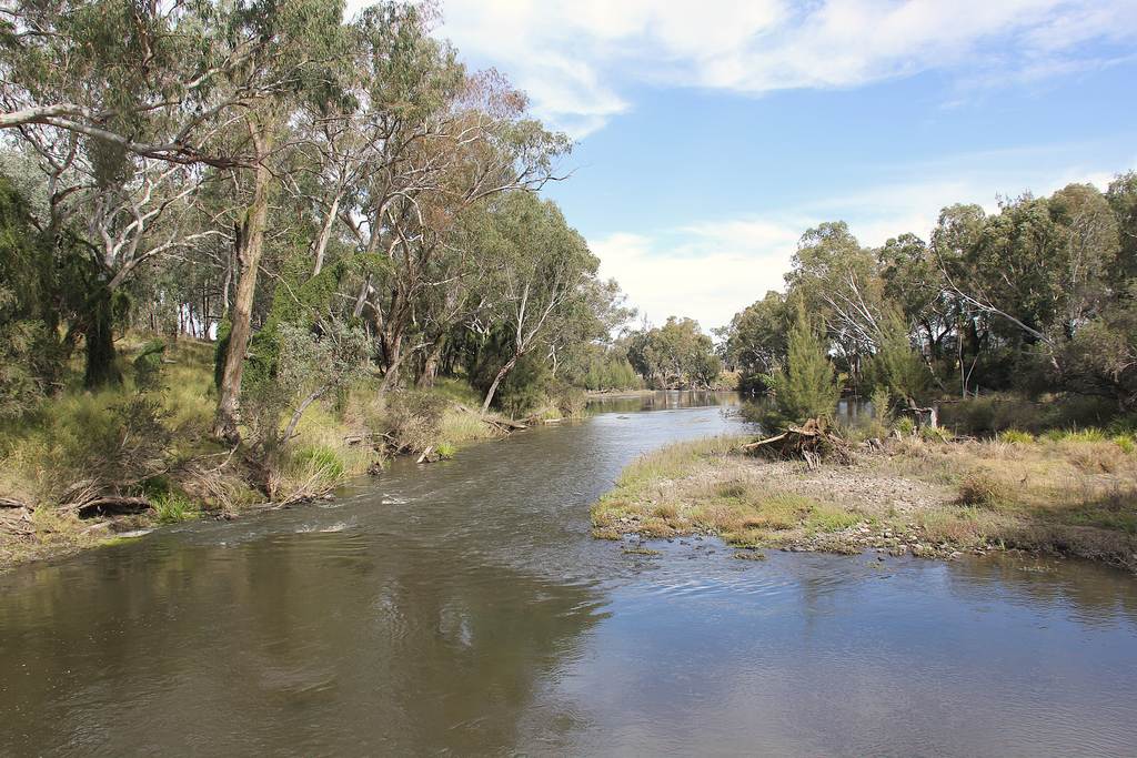 6341 Bruxner Way, Tenterfield NSW 2372