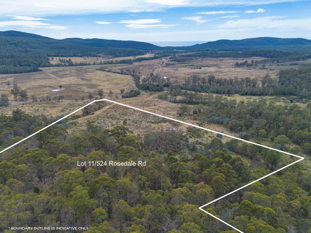 Lot 11, 524 Rosedale Road, Bicheno TAS 7215
