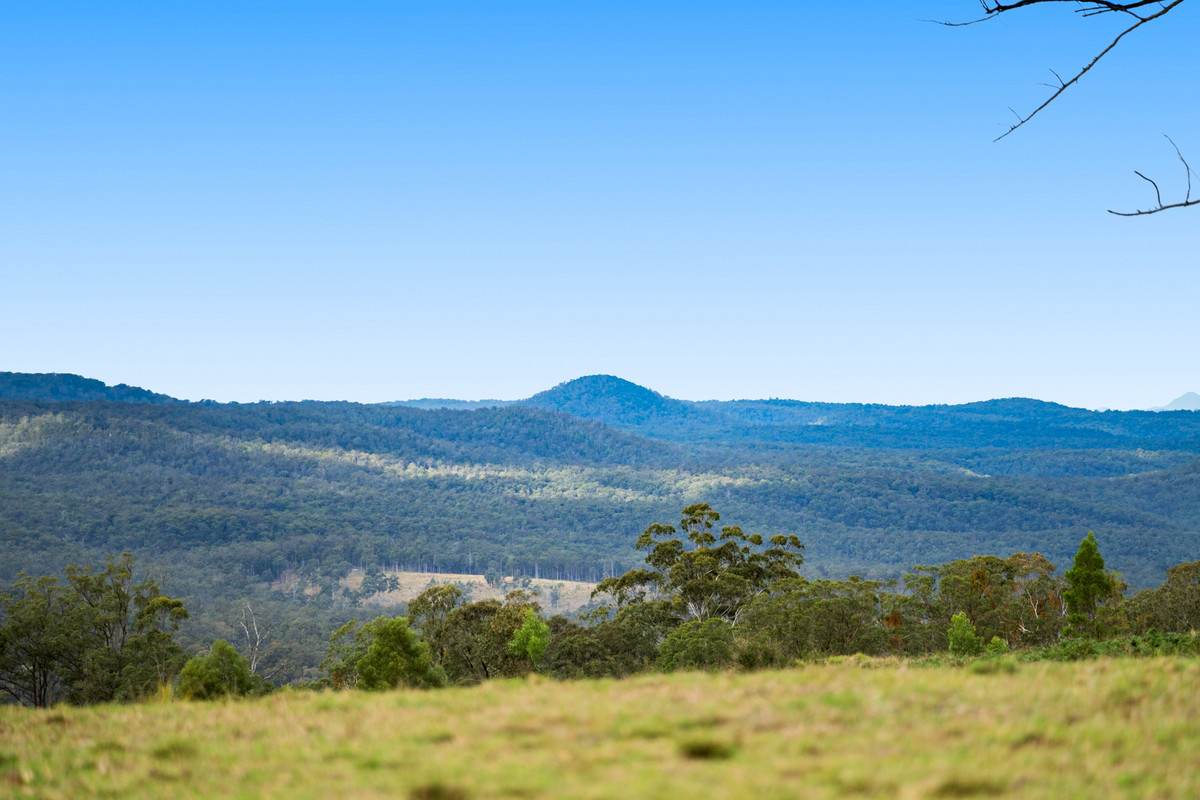 Lot 505,  Jonas Road, Mount Luke For Sale by Farmbuy.com - image 15