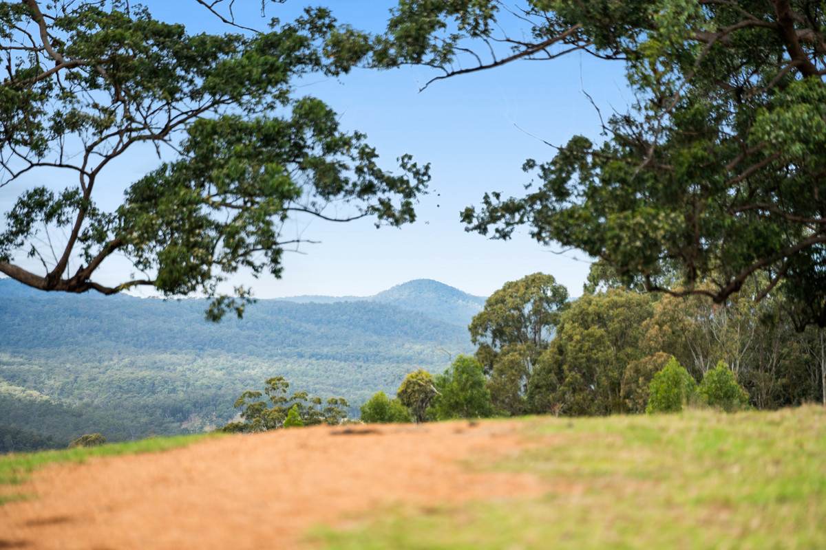 Lot 505,  Jonas Road, Mount Luke For Sale by Farmbuy.com - image 21