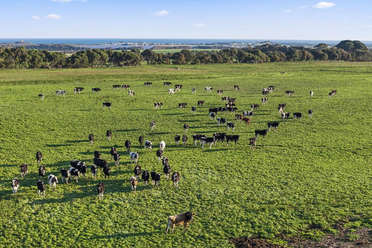 1019 Timboon-Peterborough Road, Heytesbury Lower For Sale by Farmbuy.com - image 11