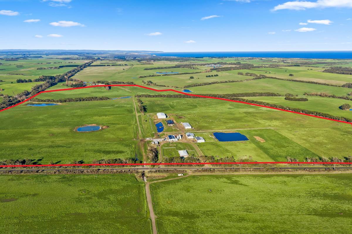1019 Timboon-Peterborough Road, Heytesbury Lower For Sale by Farmbuy.com - image 5