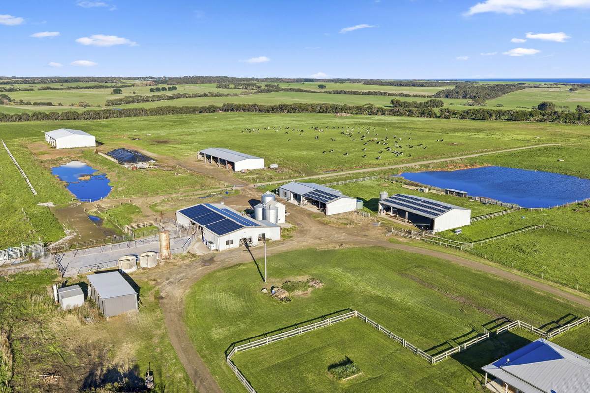 1019 Timboon-Peterborough Road, Heytesbury Lower For Sale by Farmbuy.com - image 3