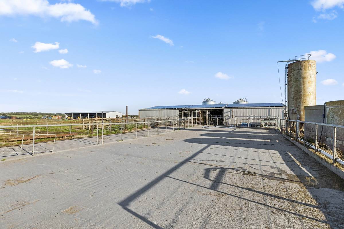 1019 Timboon-Peterborough Road, Heytesbury Lower For Sale by Farmbuy.com - image 9