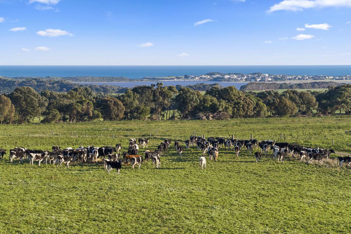 1019 Timboon-Peterborough Road, Heytesbury Lower For Sale by Farmbuy.com - image 6