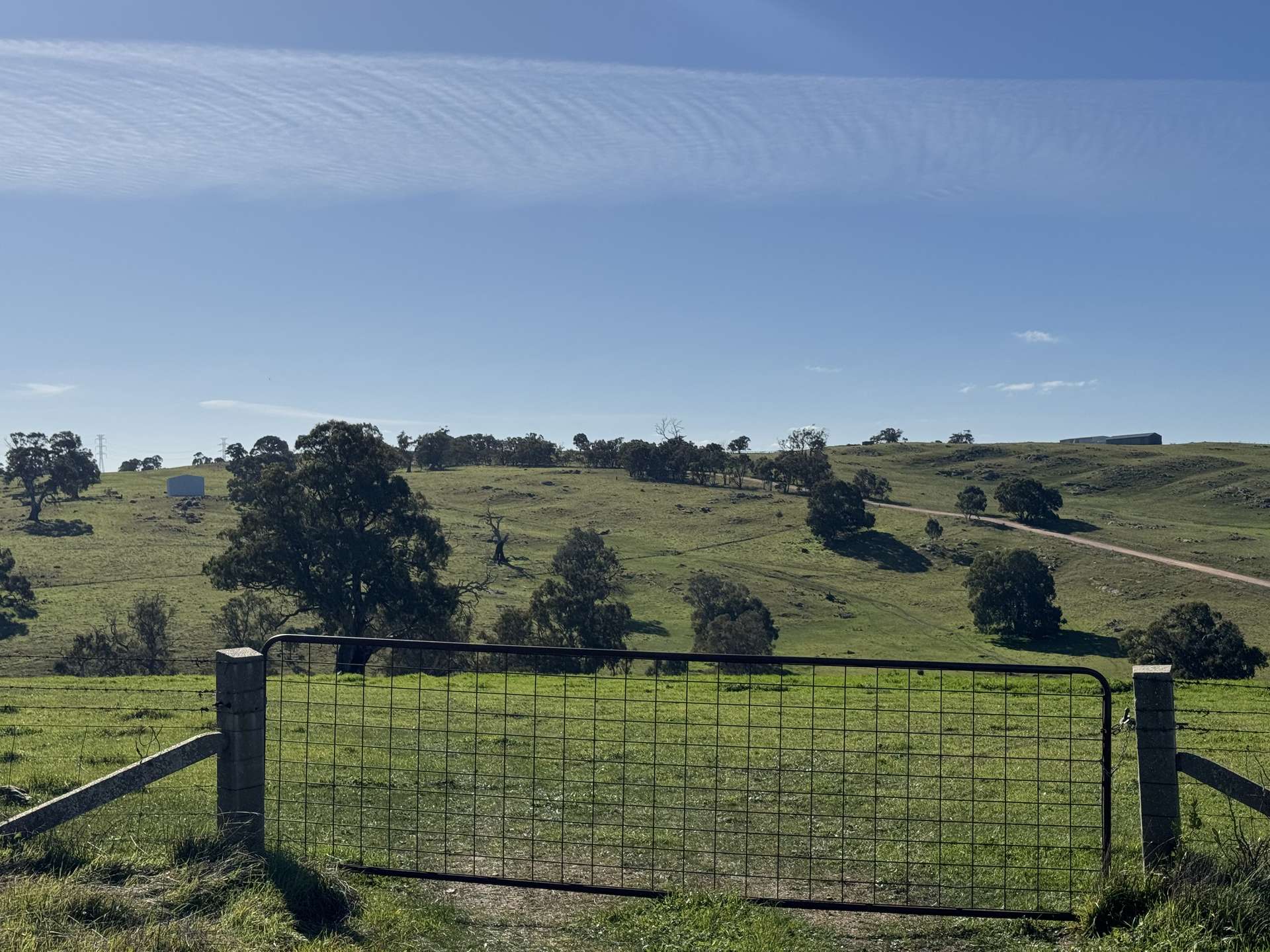 Lot 1,  Brinkworth Range Road, Tungkillo For Sale by Farmbuy.com - image 10