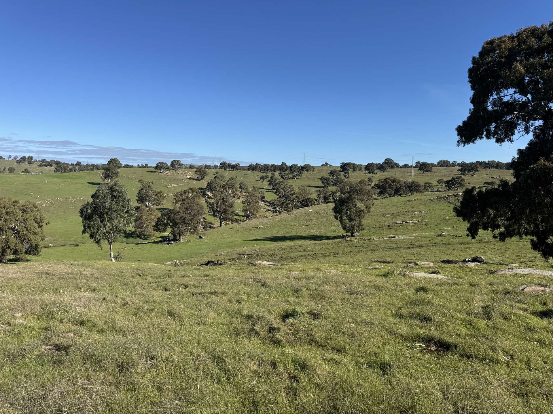 Lot 1,  Brinkworth Range Road, Tungkillo For Sale by Farmbuy.com - image 12