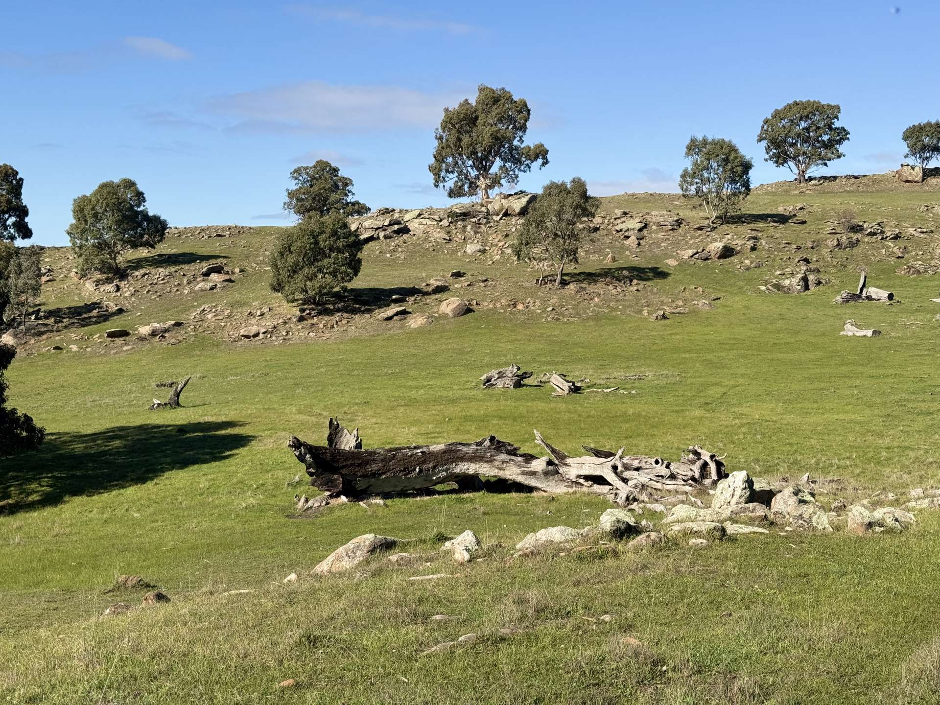Lot 1,  Brinkworth Range Road, Tungkillo For Sale by Farmbuy.com - image 20