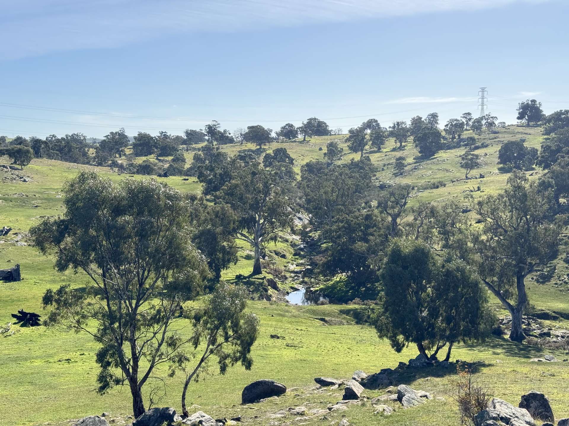Lot 1,  Brinkworth Range Road, Tungkillo For Sale by Farmbuy.com - image 1
