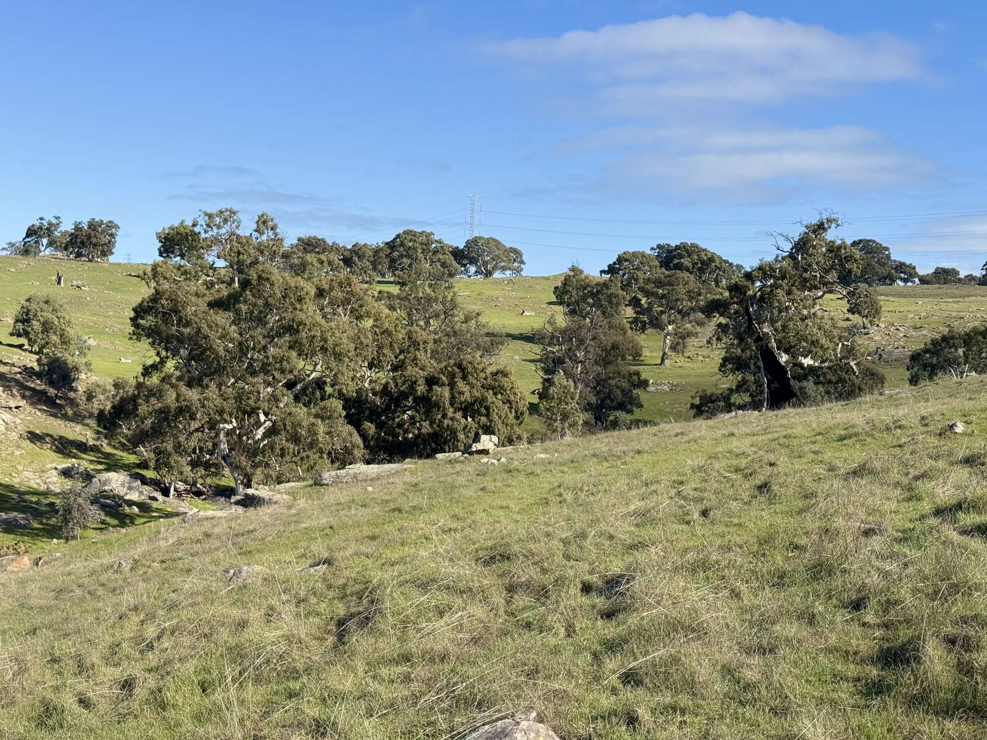 Lot 1,  Brinkworth Range Road, Tungkillo For Sale by Farmbuy.com - image 21