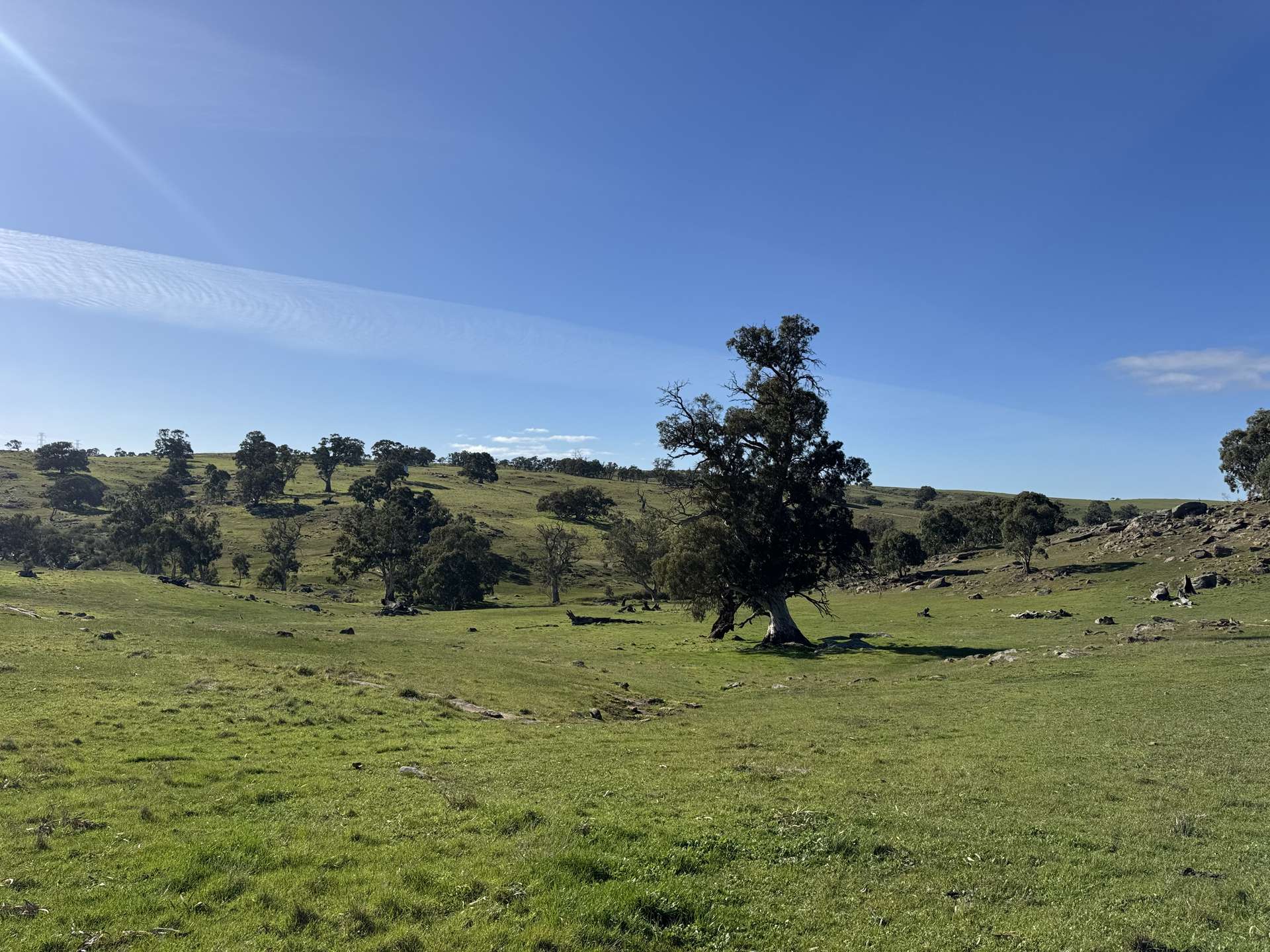 Lot 1,  Brinkworth Range Road, Tungkillo For Sale by Farmbuy.com - image 7