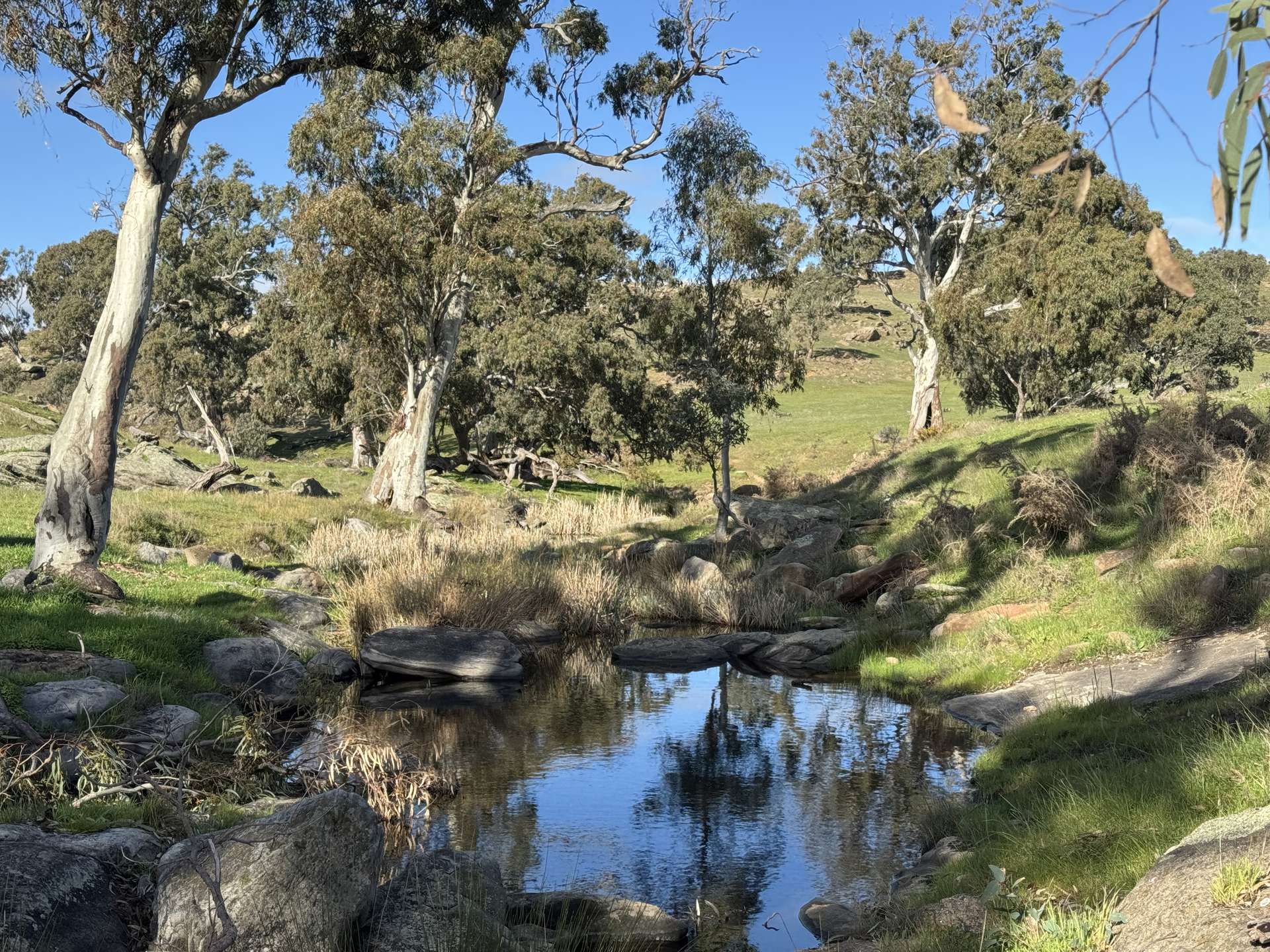 Lot 1,  Brinkworth Range Road, Tungkillo For Sale by Farmbuy.com - image 2