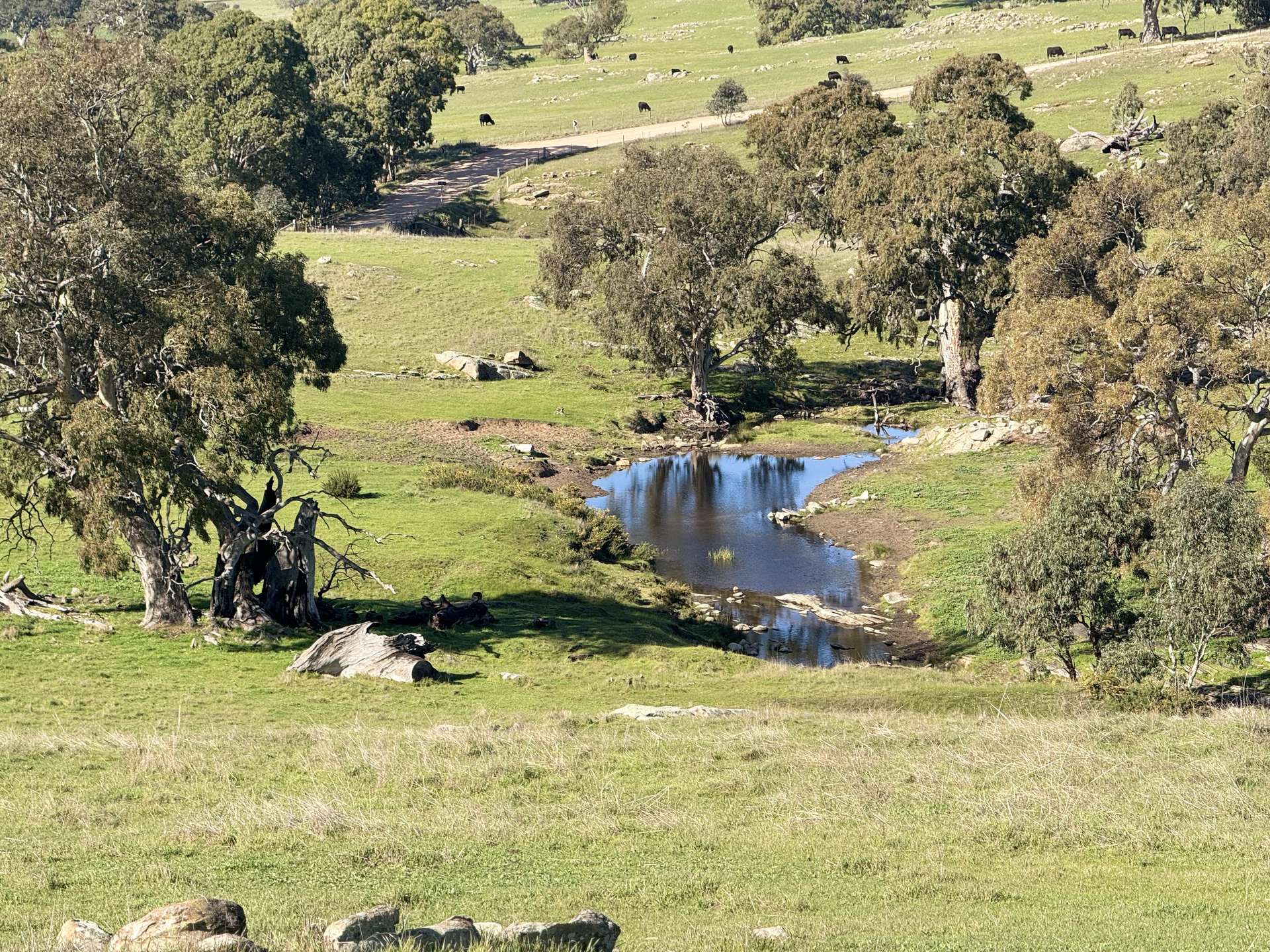 Lot 1,  Brinkworth Range Road, Tungkillo For Sale by Farmbuy.com - image 3