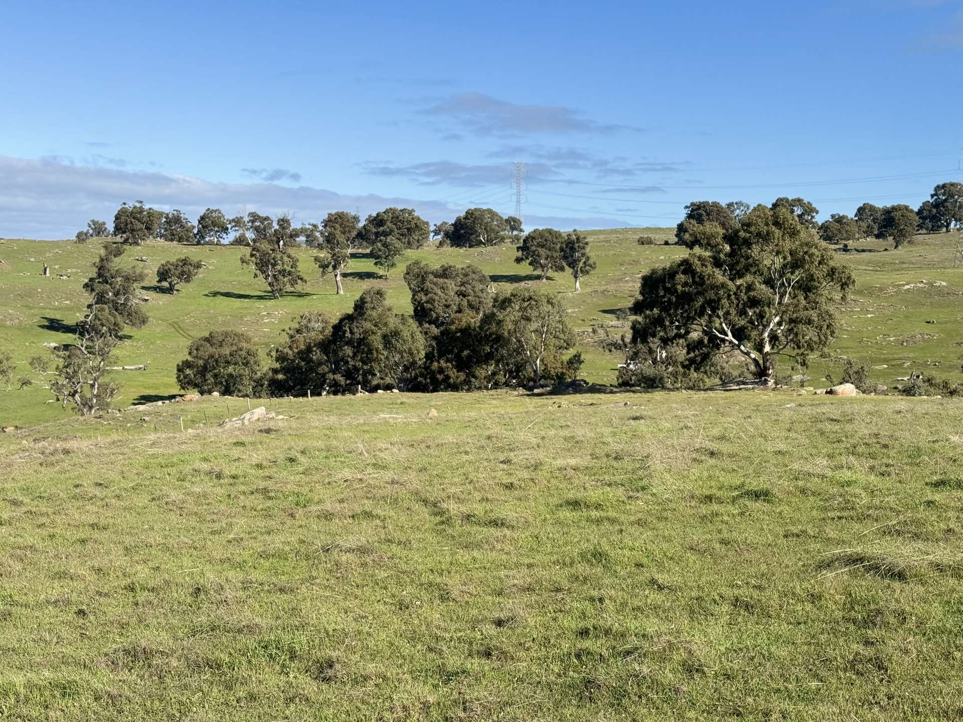 Lot 1,  Brinkworth Range Road, Tungkillo For Sale by Farmbuy.com - image 13