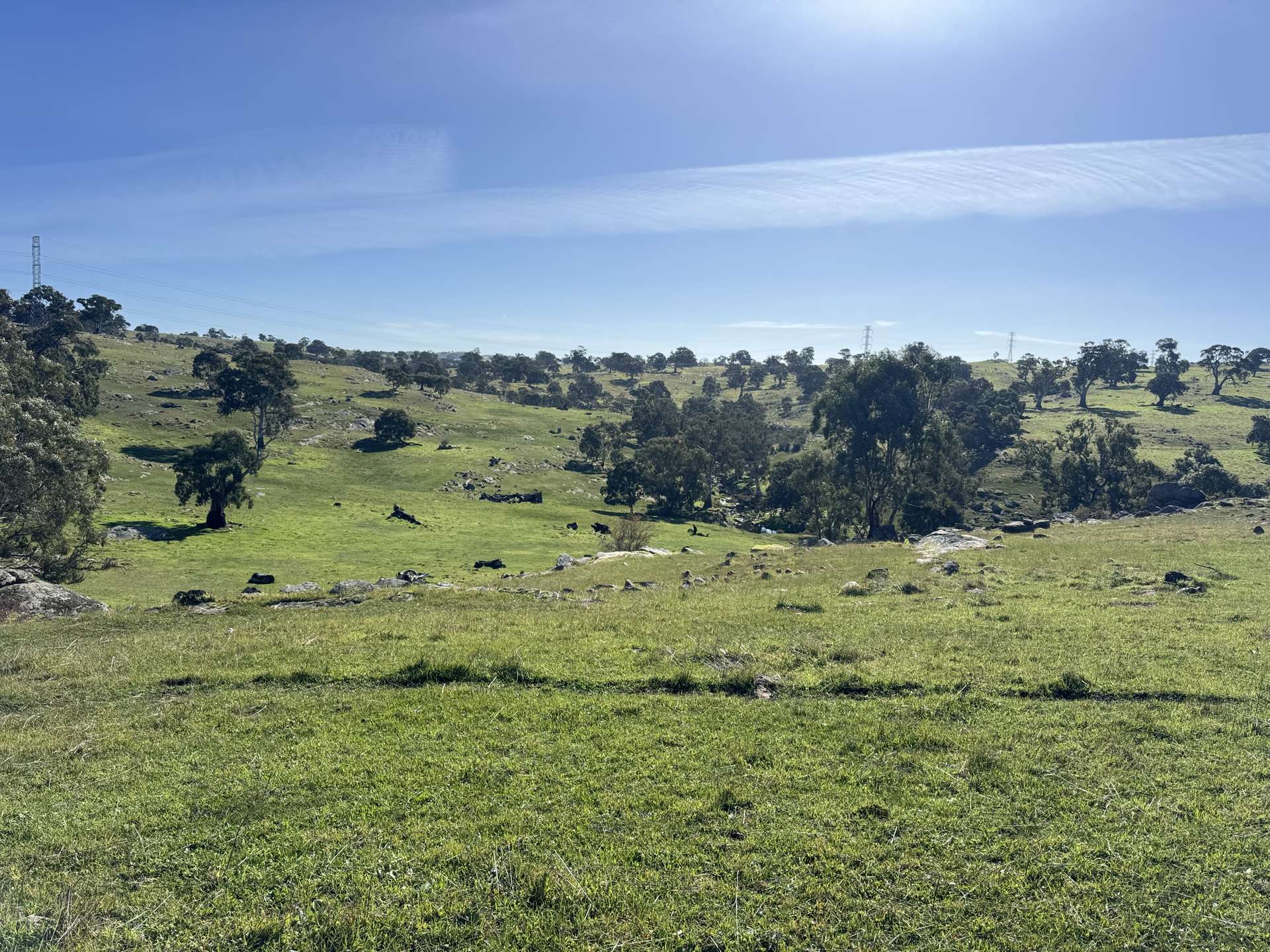 Lot 1,  Brinkworth Range Road, Tungkillo For Sale by Farmbuy.com - image 9