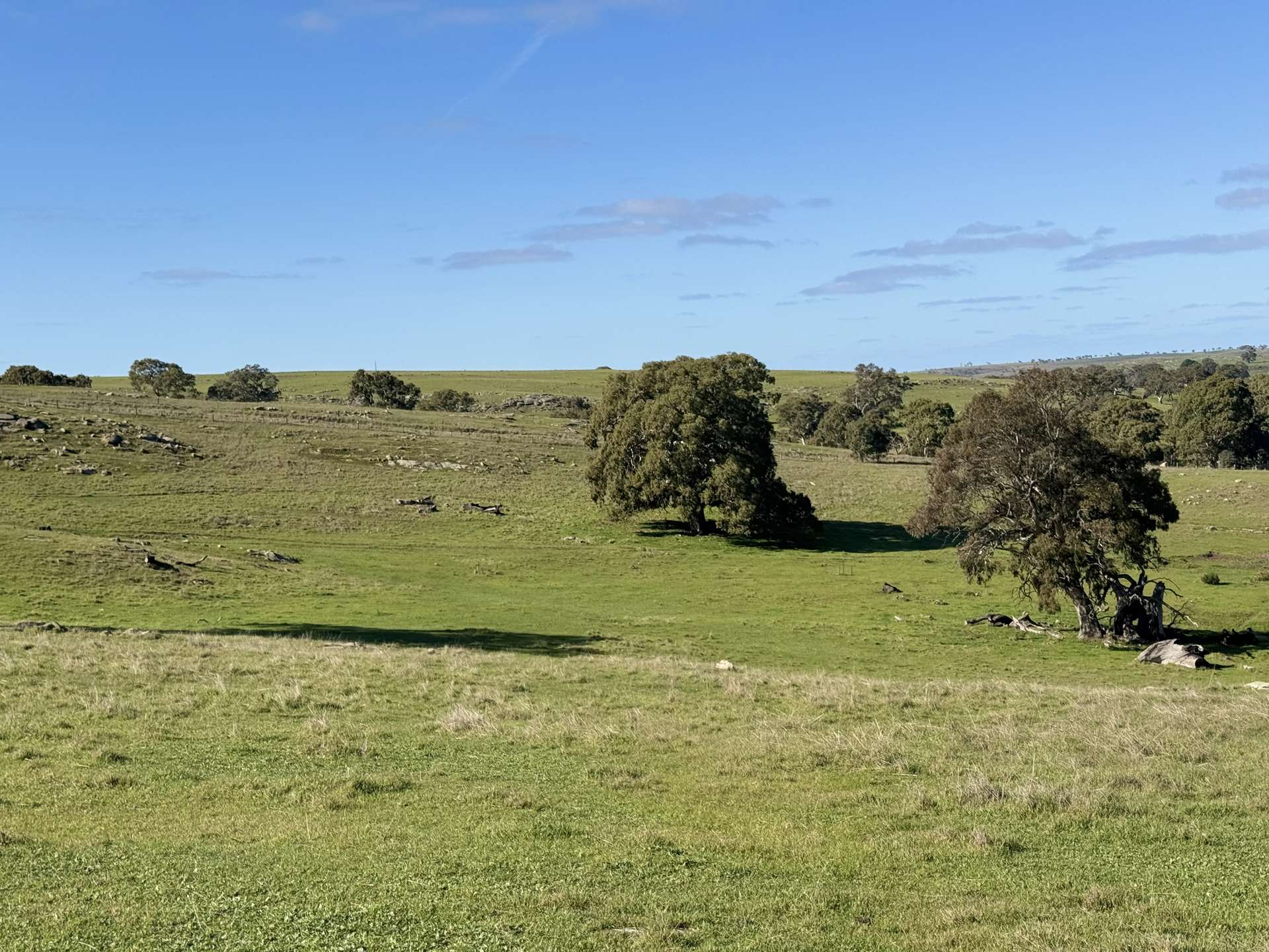 Lot 1,  Brinkworth Range Road, Tungkillo For Sale by Farmbuy.com - image 14