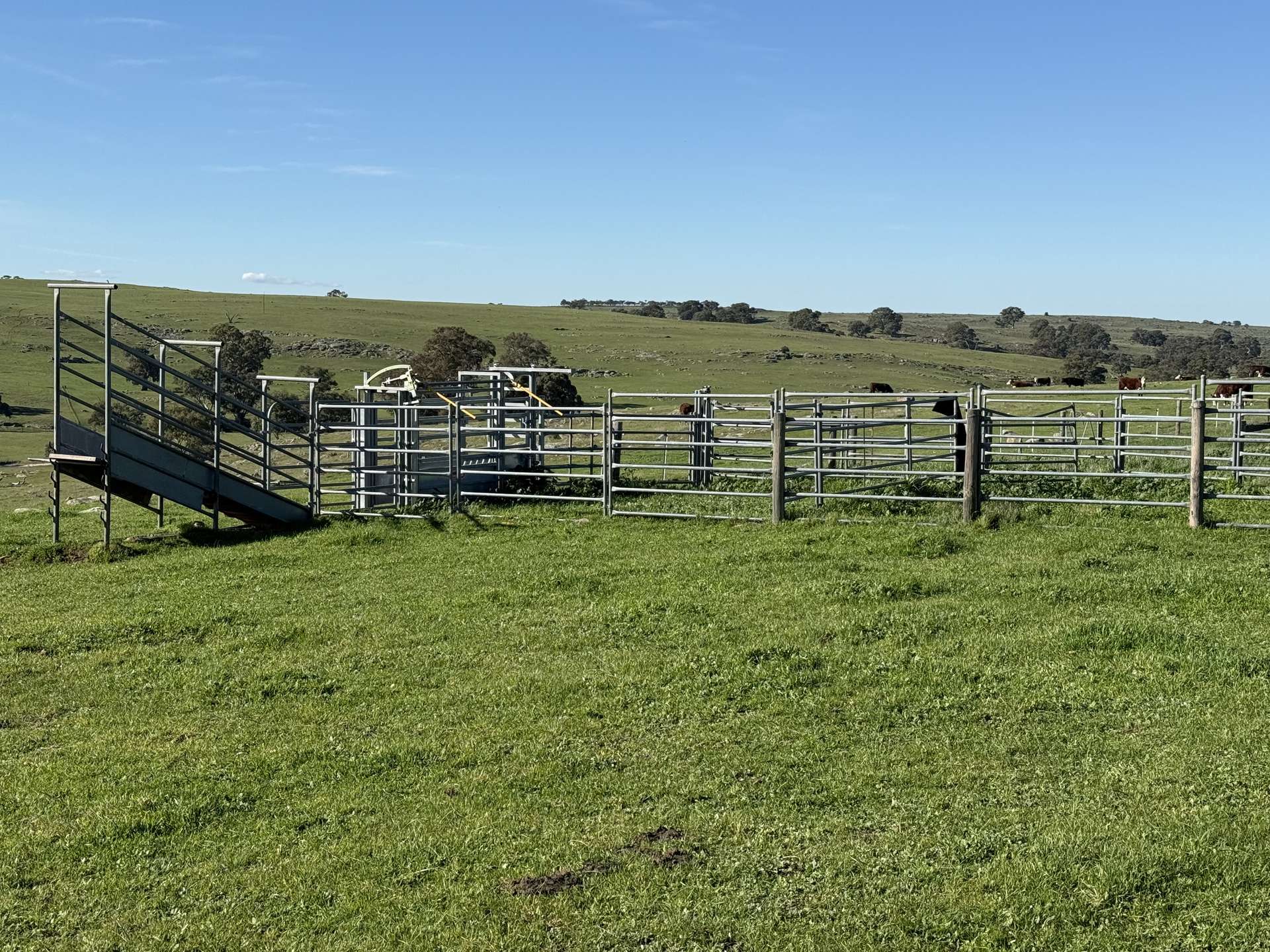 Lot 1,  Brinkworth Range Road, Tungkillo For Sale by Farmbuy.com - image 5