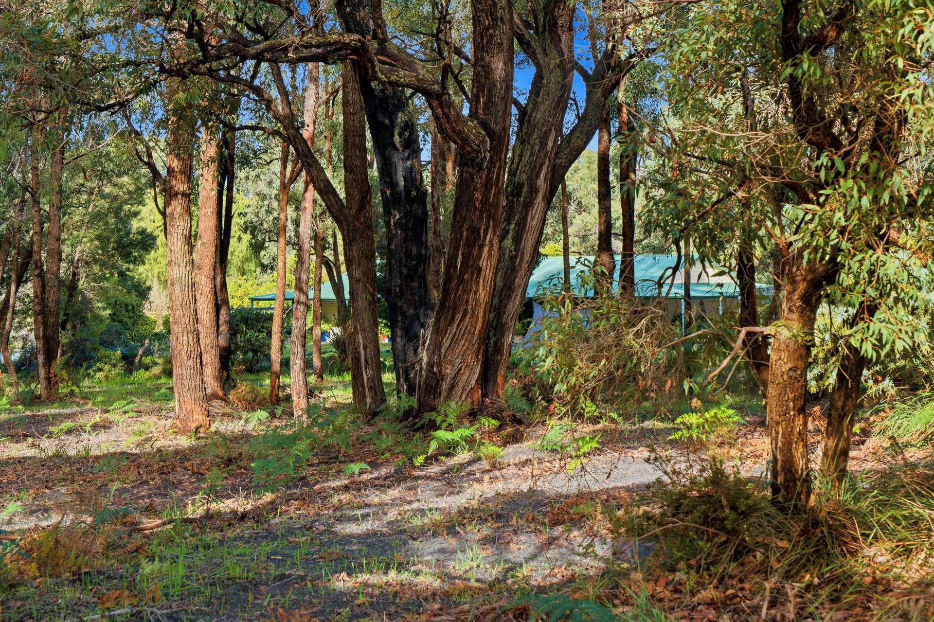 57 Double Bridge Road, Meerup For Sale by Farmbuy.com - image 20