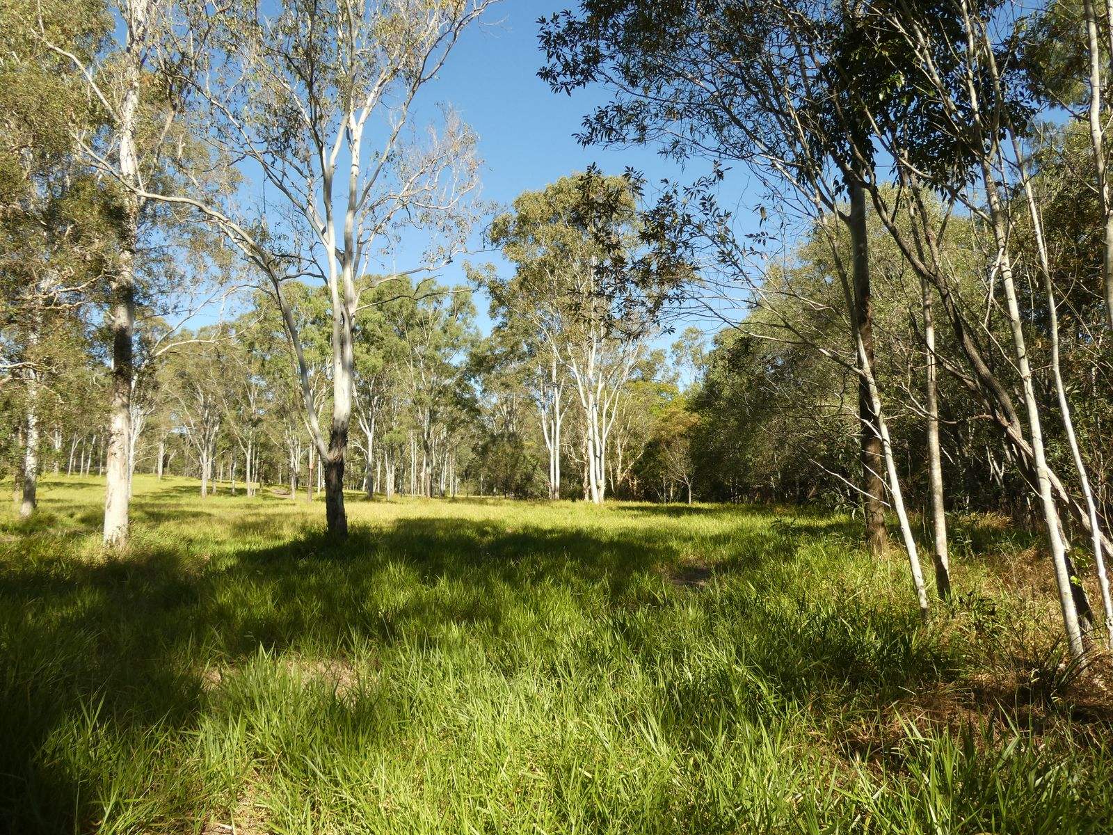 586 Tableland Road, Dalysford For Sale by Farmbuy.com - image 32