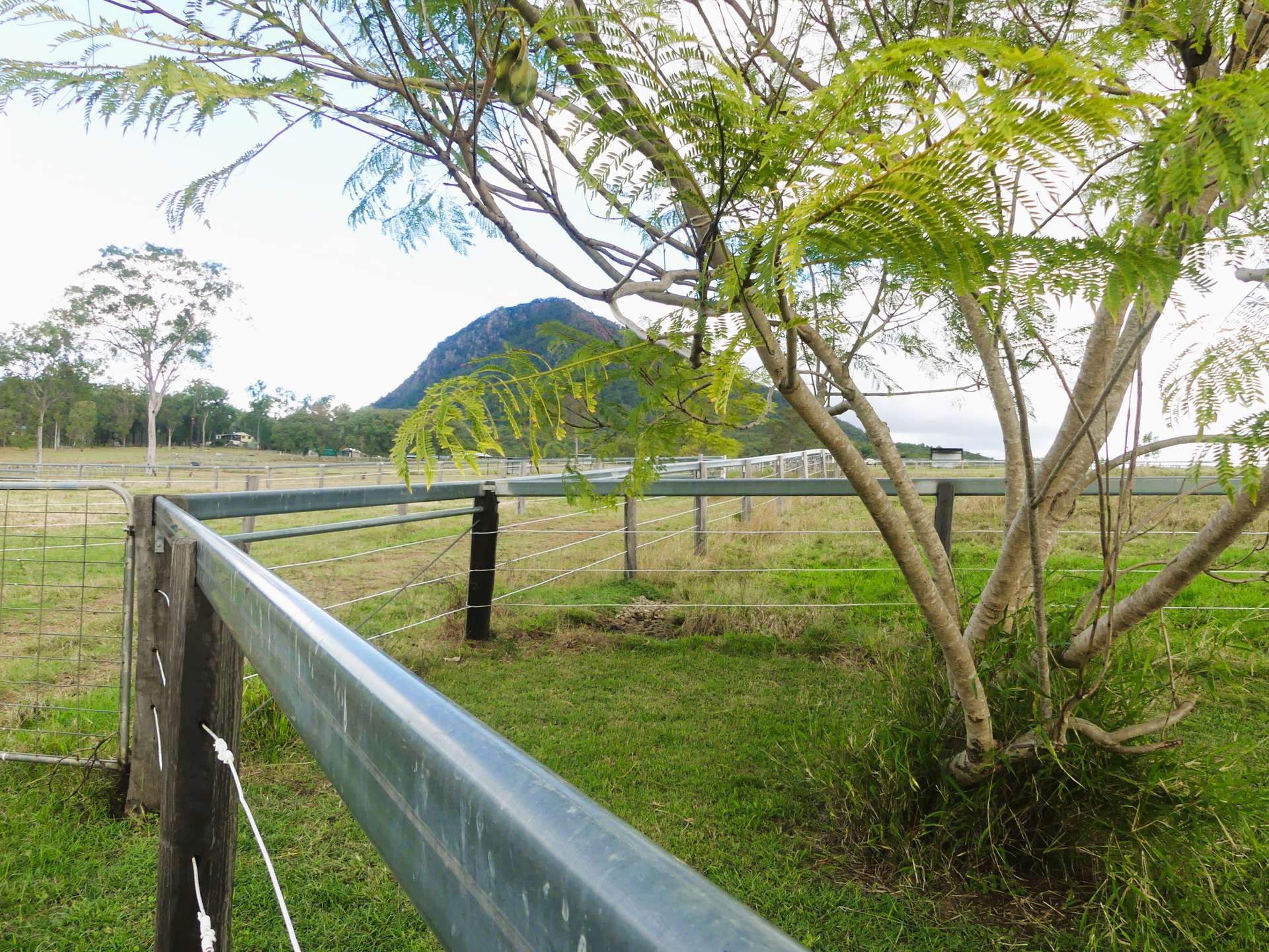 'Little J Farm' 87 Charlwood Road, Boonah For Sale by Farmbuy.com - image 28