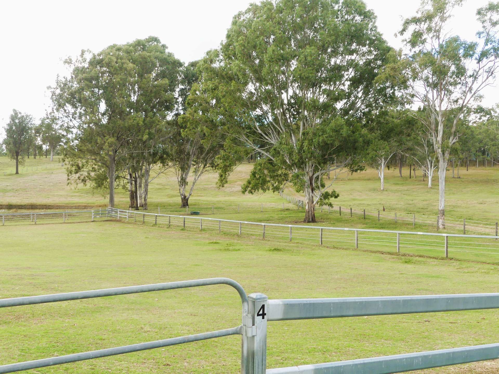 'Little J Farm' 87 Charlwood Road, Boonah For Sale by Farmbuy.com - image 32