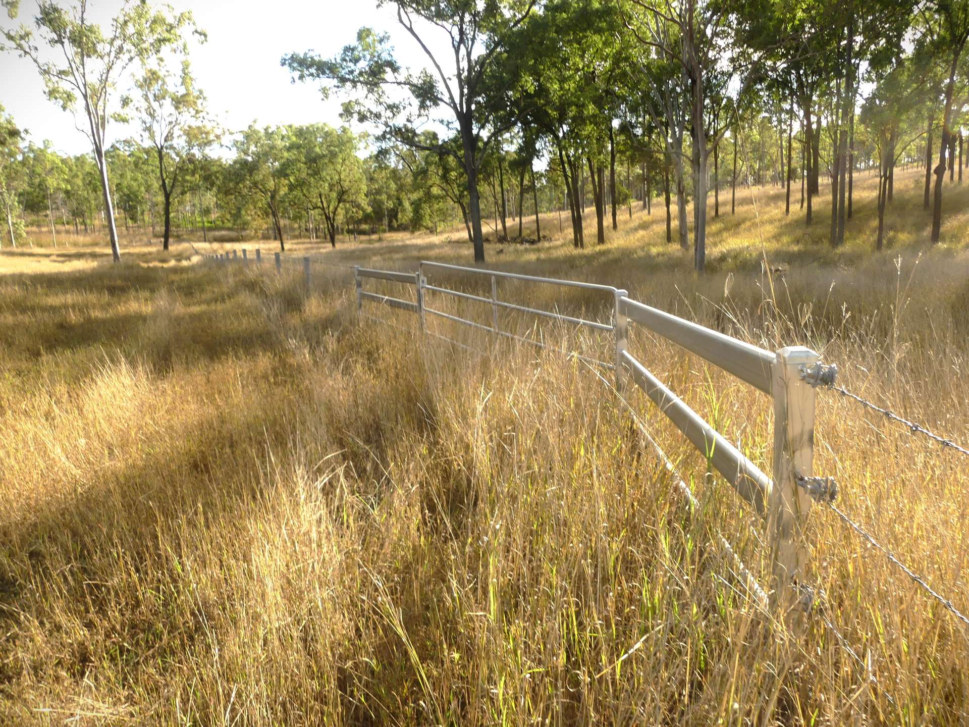 'Little J Farm' 87 Charlwood Road, Boonah For Sale by Farmbuy.com - image 22
