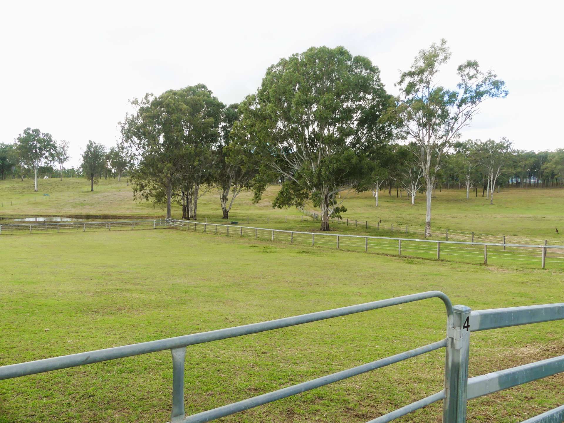 'Little J Farm' 87 Charlwood Road, Boonah For Sale by Farmbuy.com - image 13