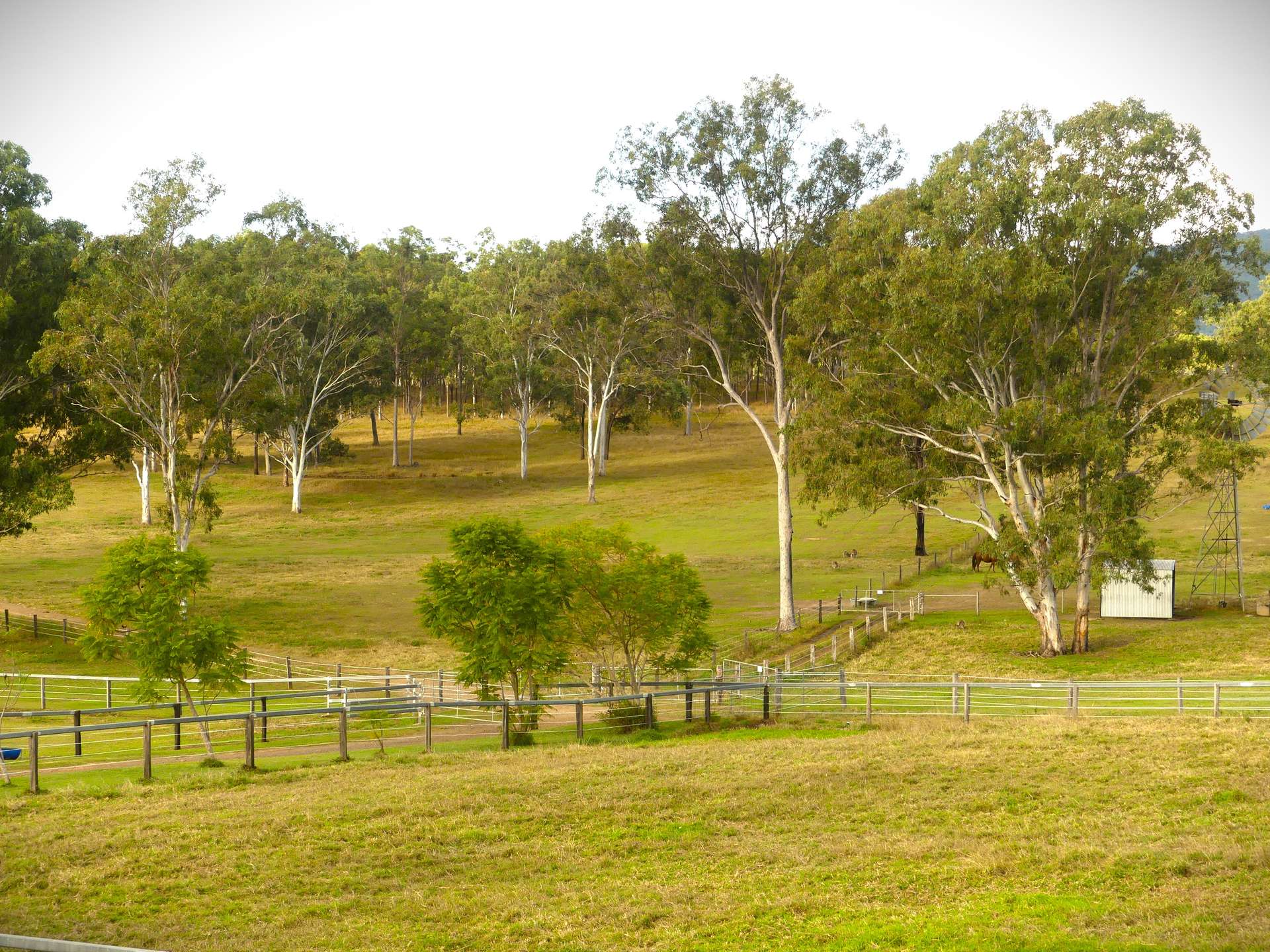 'Little J Farm' 87 Charlwood Road, Boonah For Sale by Farmbuy.com - image 2