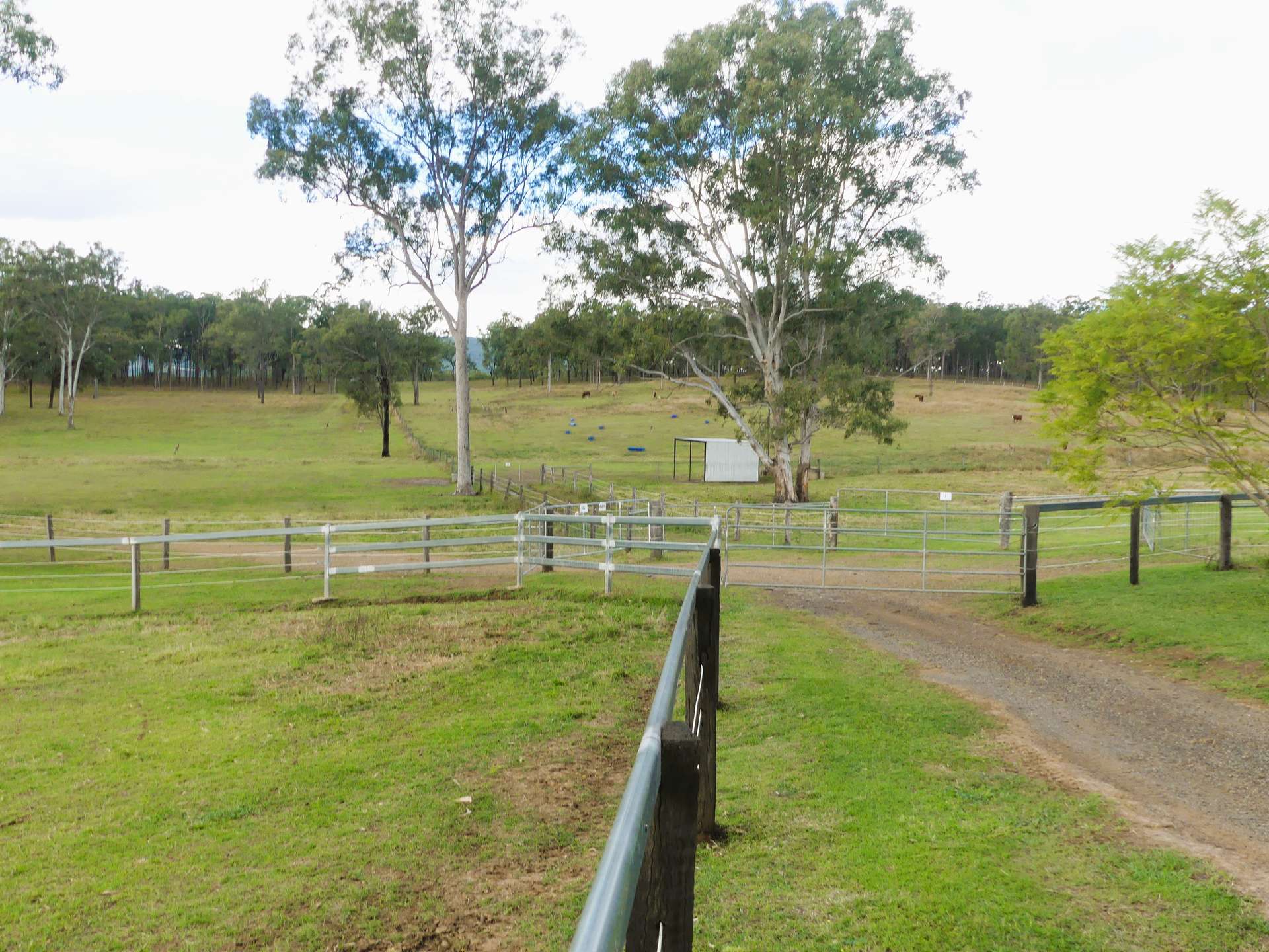 'Little J Farm' 87 Charlwood Road, Boonah For Sale by Farmbuy.com - image 14