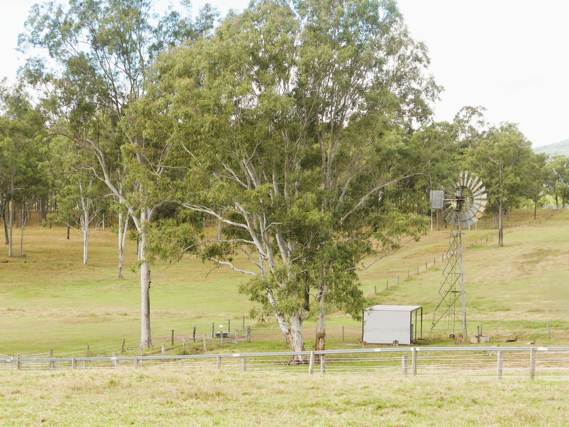 'Little J Farm' 87 Charlwood Road, Boonah For Sale by Farmbuy.com - image 26