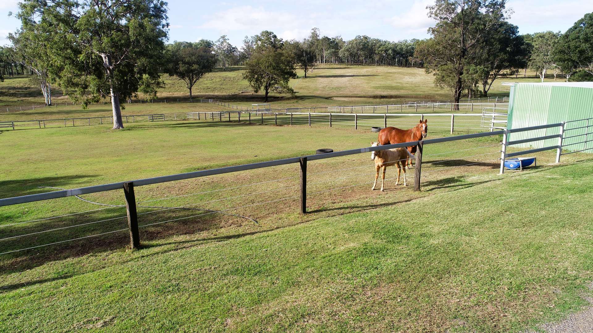 'Little J Farm' 87 Charlwood Road, Boonah For Sale by Farmbuy.com - image 24