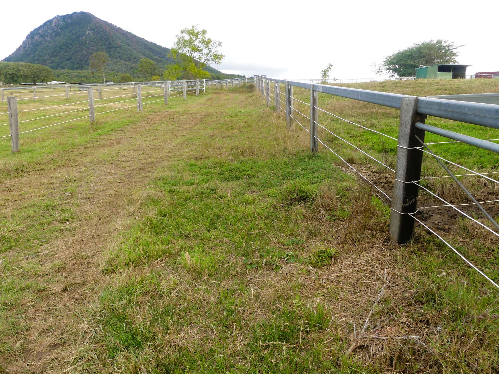 'Little J Farm' 87 Charlwood Road, Boonah For Sale by Farmbuy.com - image 29