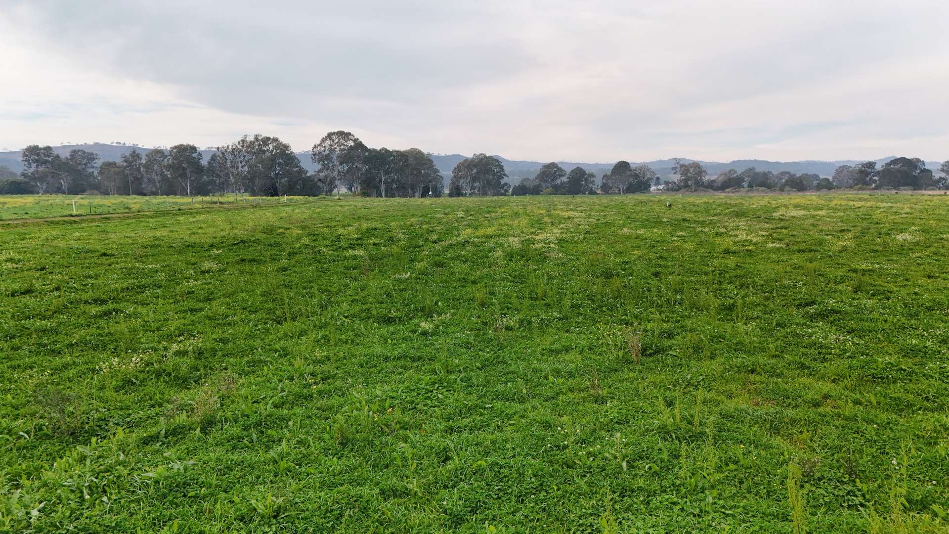 Lot Holding 3, 288 Round Mountain Road, Laravale For Sale by Farmbuy.com - image 9