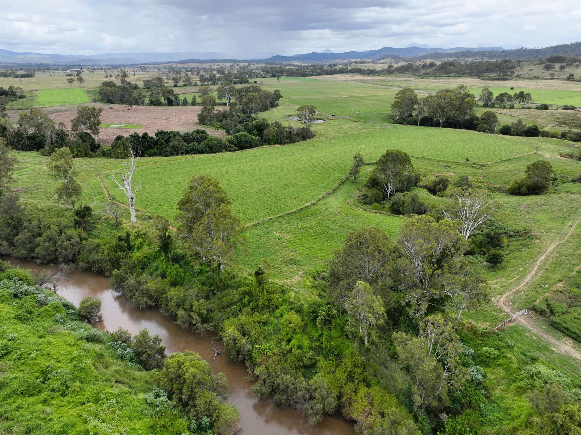 Lot Holding 3, 288 Round Mountain Road, Laravale For Sale by Farmbuy.com - image 10