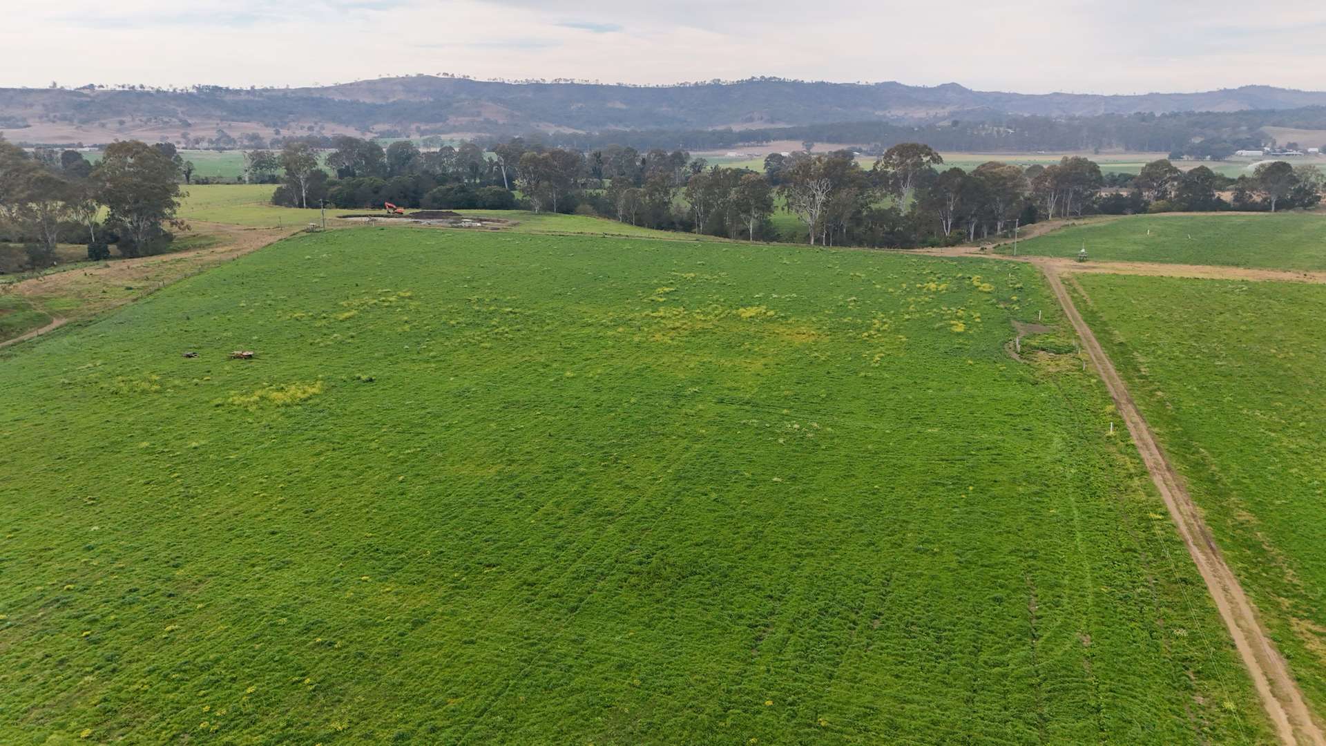 Lot Holding 3, 288 Round Mountain Road, Laravale For Sale by Farmbuy.com - image 8