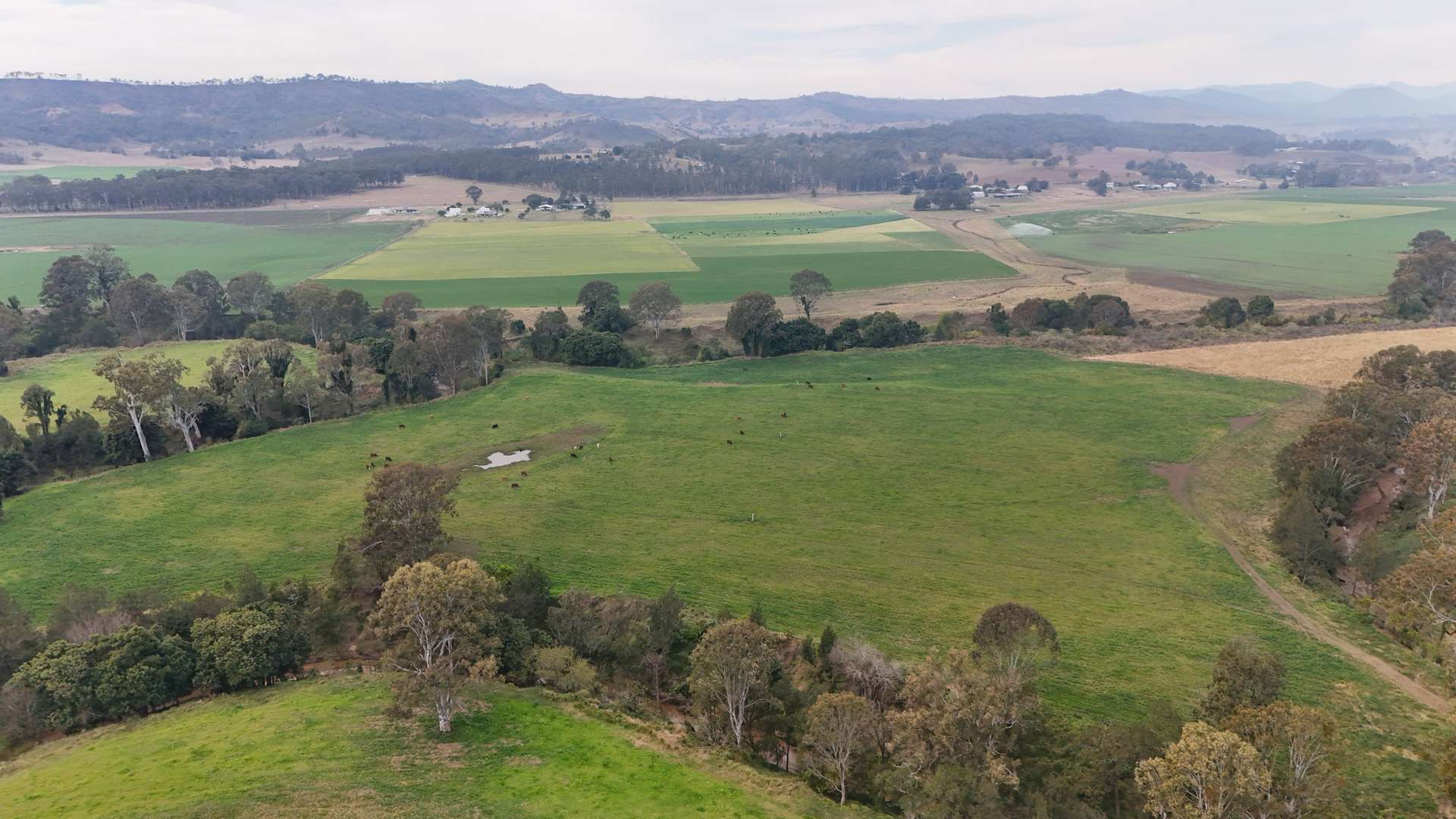 Lot Holding 3, 288 Round Mountain Road, Laravale For Sale by Farmbuy.com - image 7