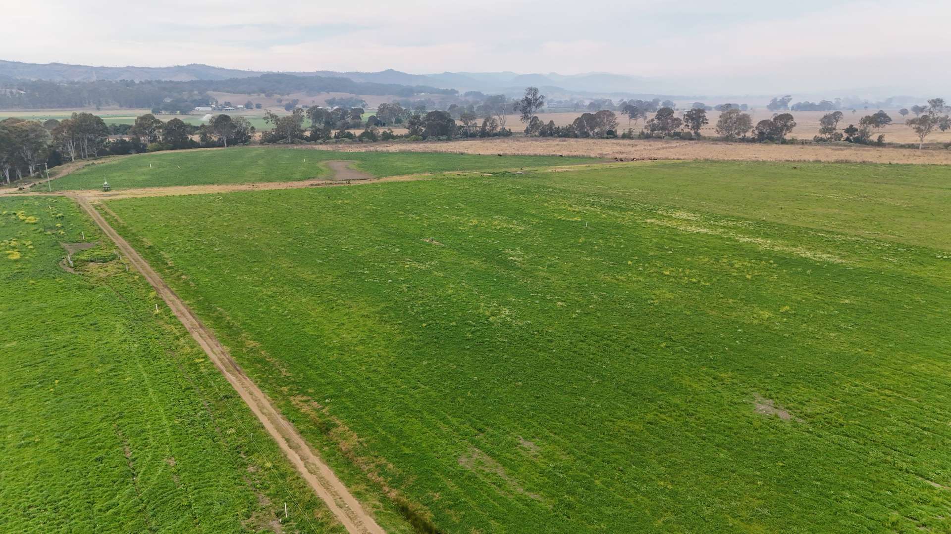 Lot Holding 3, 288 Round Mountain Road, Laravale For Sale by Farmbuy.com - image 12