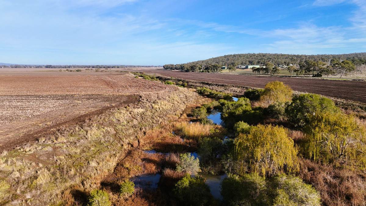 Lot 35,  Clifton Leyburn Road, Ellangowan For Sale by Farmbuy.com - image 2