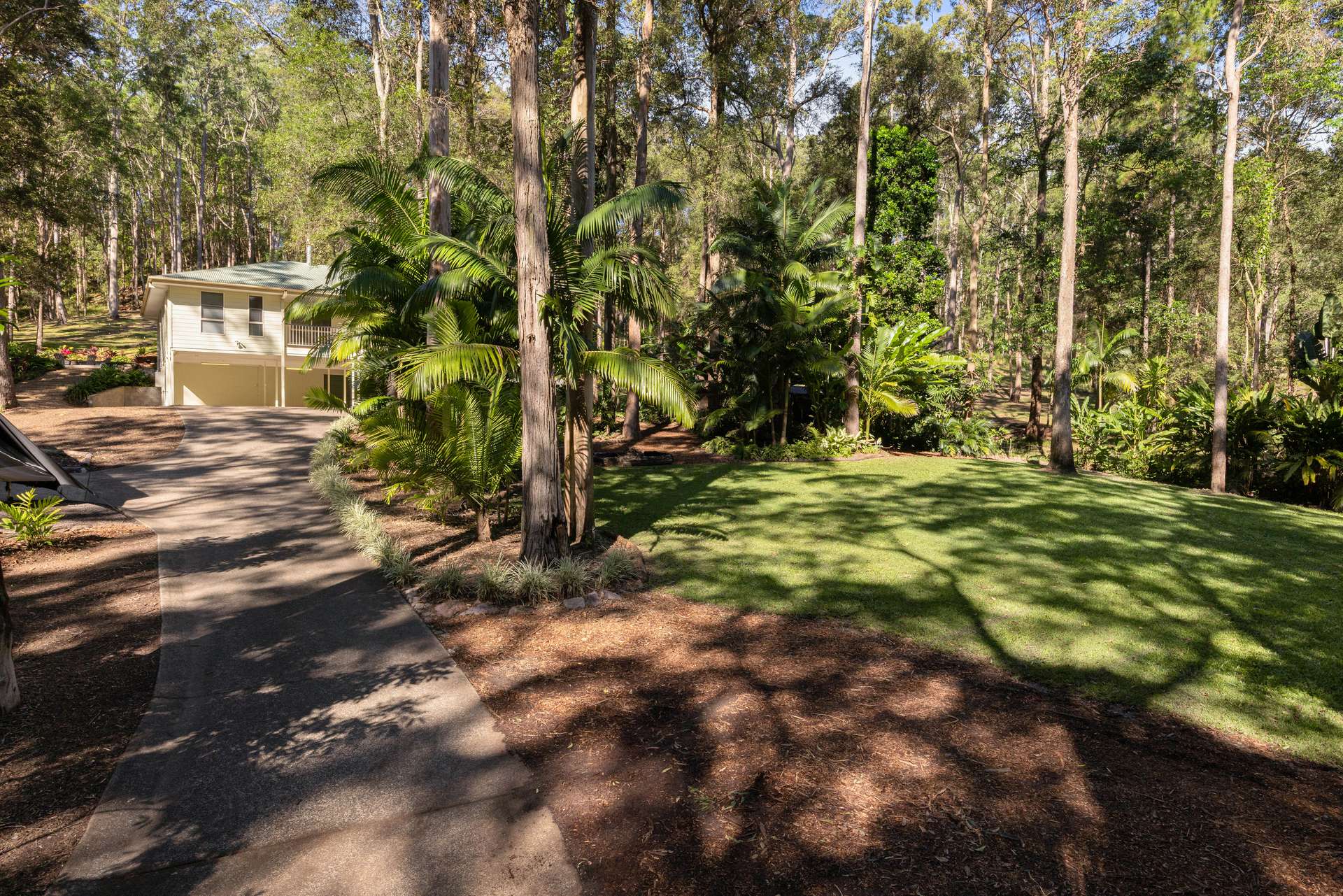34 Tanawha Road, Tanawha Auction by Farmbuy.com - image 24