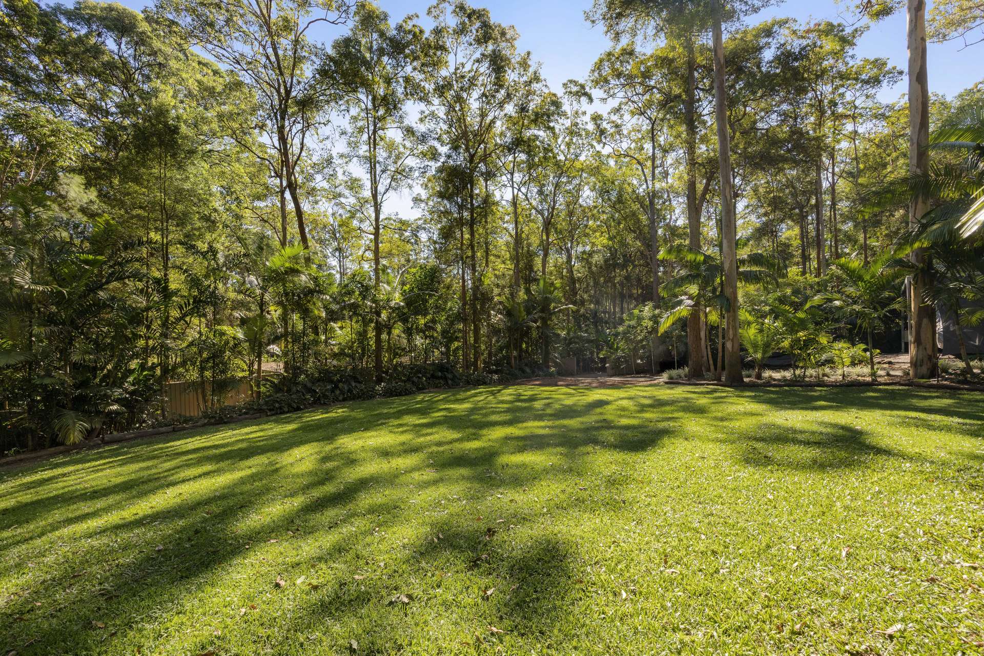 34 Tanawha Road, Tanawha Auction by Farmbuy.com - image 5