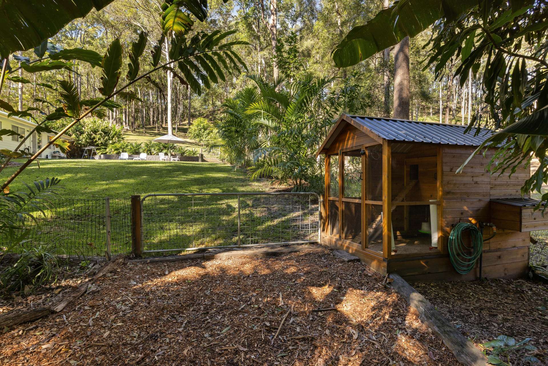 34 Tanawha Road, Tanawha Auction by Farmbuy.com - image 23