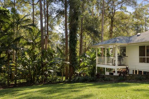 Farm Auction - QLD - Tanawha - 4556 - Whisper Quiet Rainforest Retreat: Space, Privacy & Family Potential 