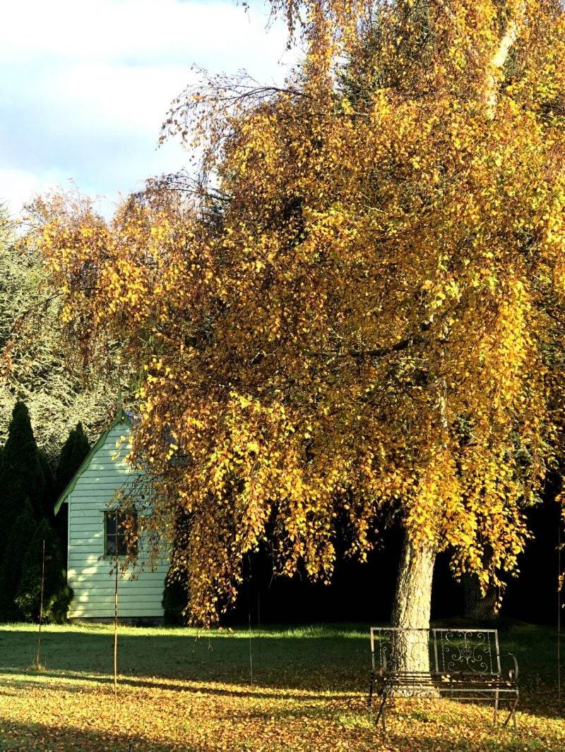 4 Metaira Rd, Ridgley For Sale by Farmbuy.com - image 24