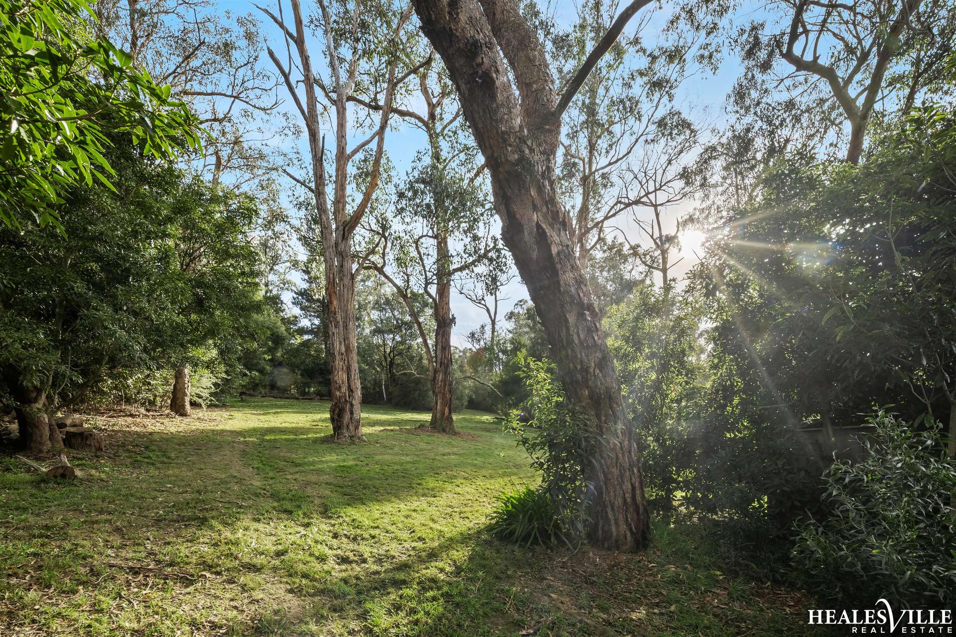 25 Centre Grove, Healesville For Sale by Farmbuy.com - image 22