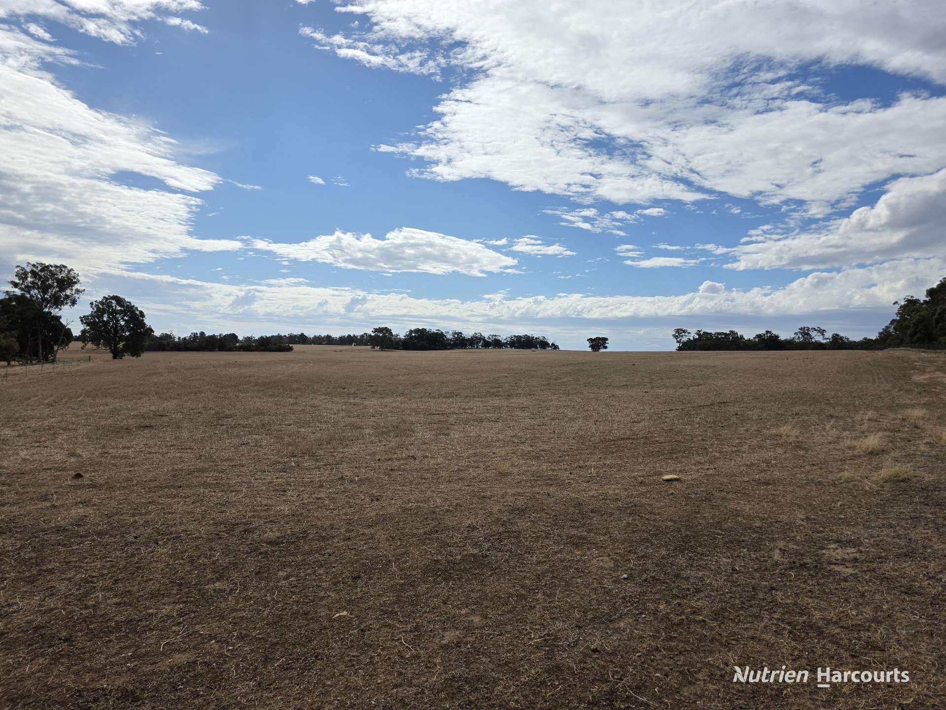 "Bloomvale", Bloomfields Road, Scotts Brook For Sale by Farmbuy.com - image 31