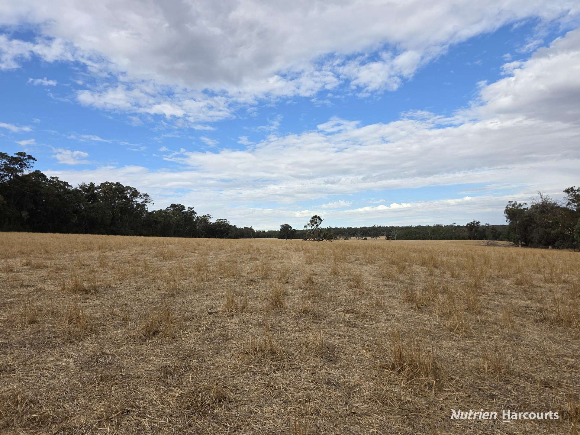 "Bloomvale", Bloomfields Road, Scotts Brook For Sale by Farmbuy.com - image 14
