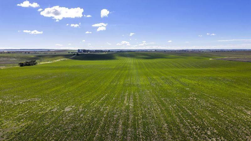 34 Mincham Road, Meningie For Sale by Farmbuy.com - image 10