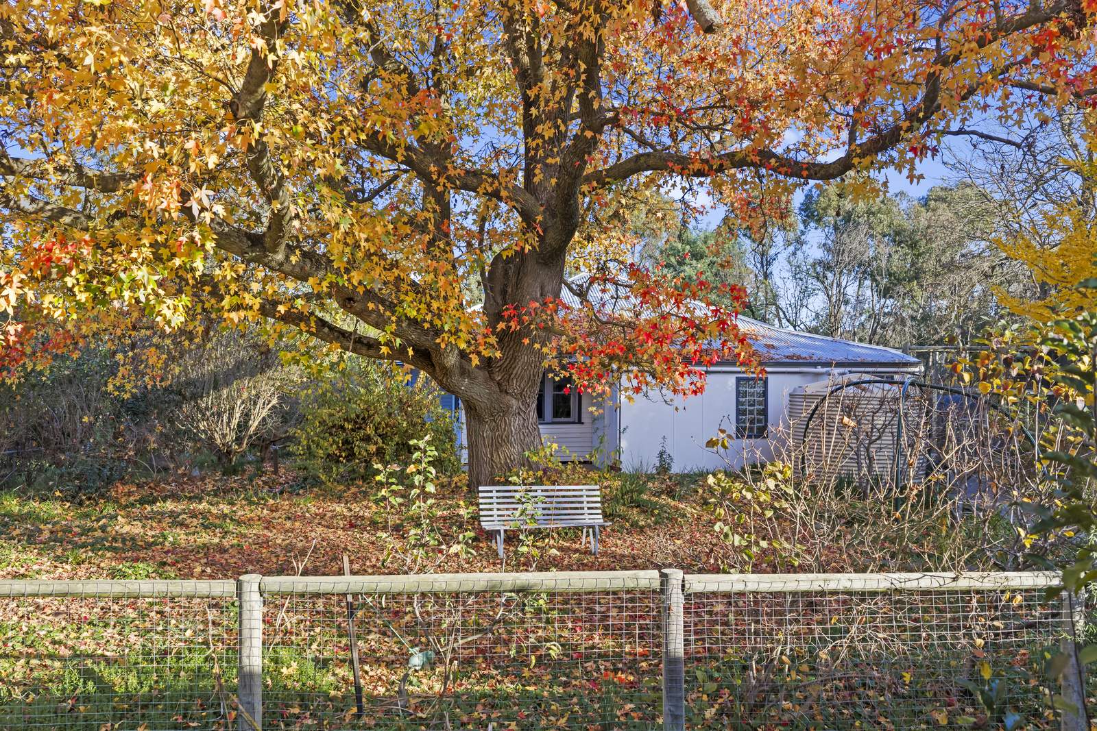 575 Old Tolmie Road, Barwite For Sale by Farmbuy.com - image 12