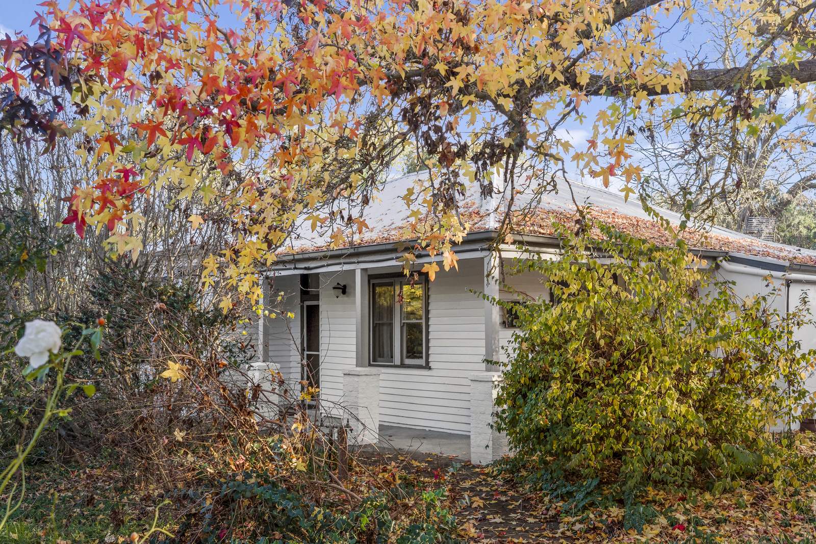 575 Old Tolmie Road, Barwite For Sale by Farmbuy.com - image 2