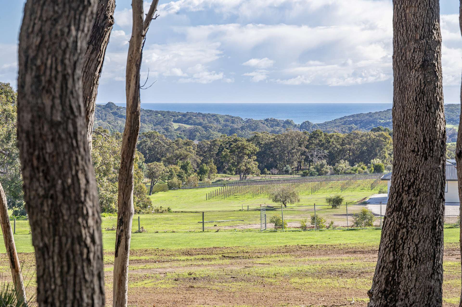 115 Dryandra Avenue, Yallingup For Sale by Farmbuy.com - image 5